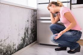 Best Airborne Mold Testing  in Ronkonkoma, NY